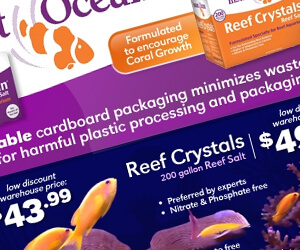advertising - instant ocean salt boxes