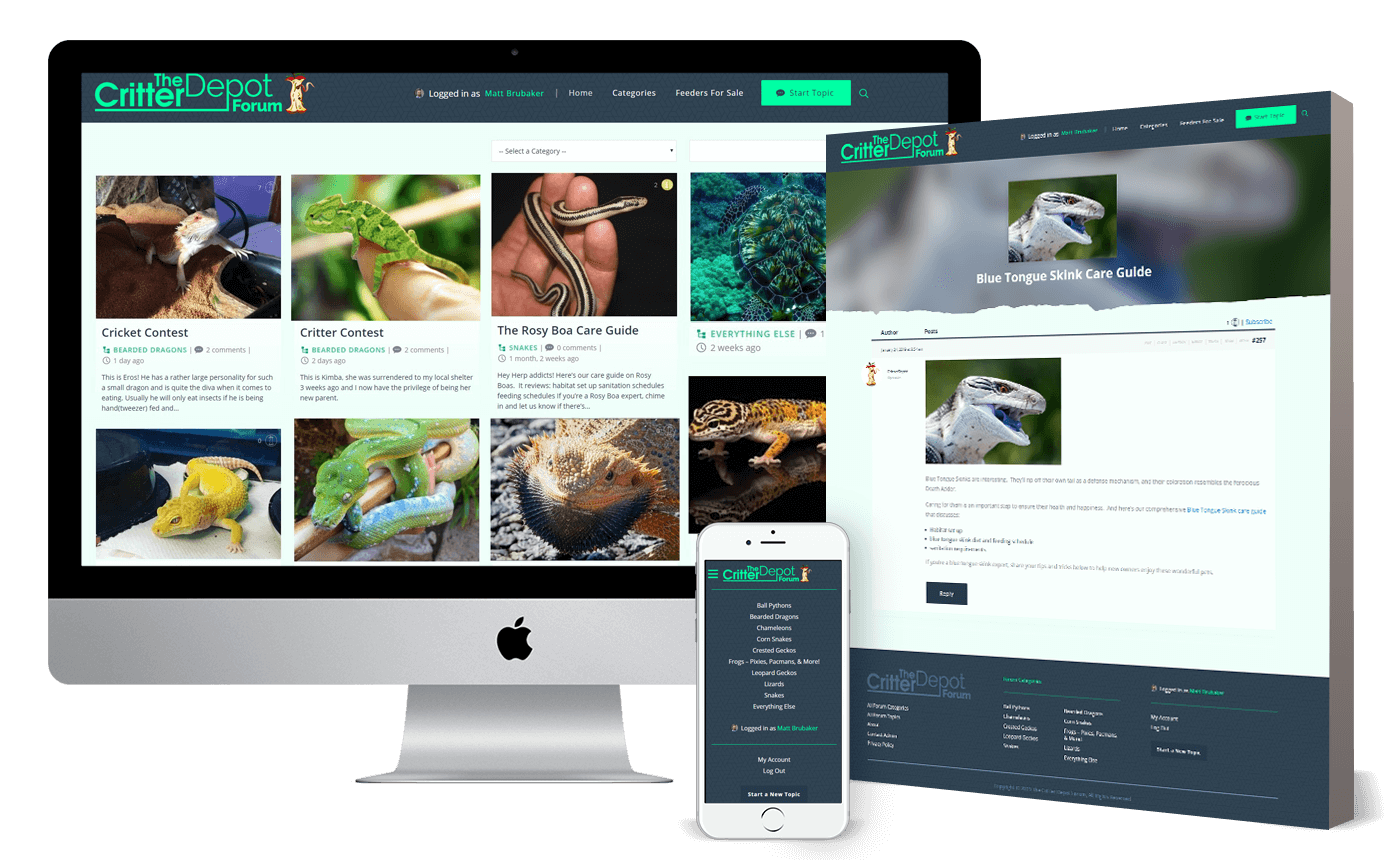 The Critter Depot Forum Site Design and Development